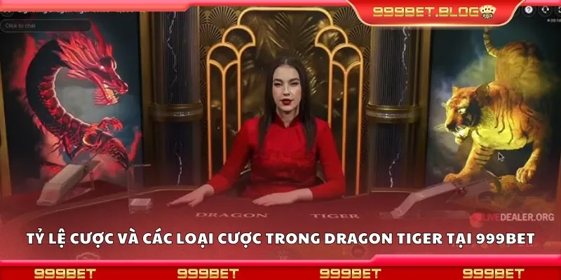 Tỷ lệ cược và các loại cược trong dragon tiger