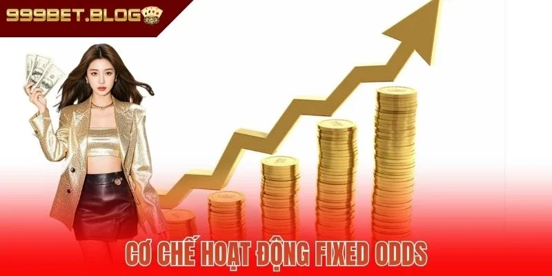 Cơ chế hoạt động của Fixed Odds