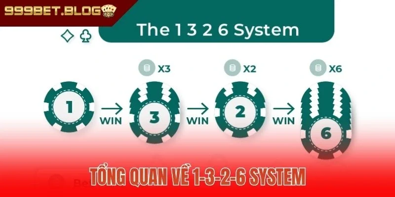 Tổng quan về 1-3-2-6 System